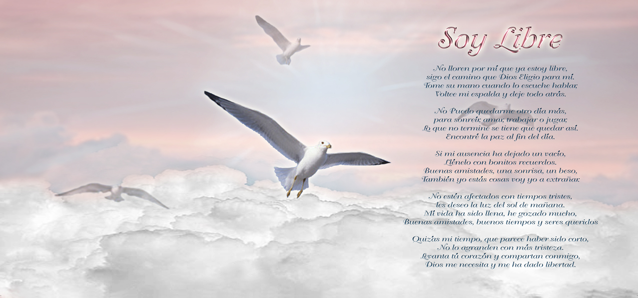 Soy Libre Clouds Pink (Verse)